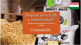 Hogyan készítjük a malátáinkat? 5. fázis | Castle Malting