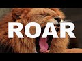 ROAR