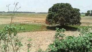 video-2011-06-05-11-08-38-Aamdarhi Railway Crossing-Ekma-Chapra Bihar.mp4