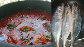 വള്ളി കൊഴിയാള മീൻ കറി // tasty fish curry // Remya's Tasty Cooking