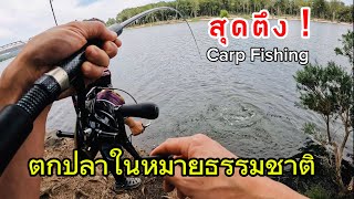 สูตรเด็ดตกปลาในหมายธรรมชาติ Carp Fishing