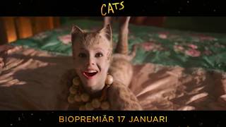 Cats 🐱 Äntligen kommer musikalen som biofilm | Biopremiär 17 januari