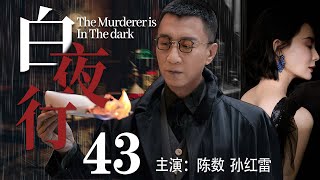 【精彩谍战剧】白夜行43丨主演：孙红雷，陈数