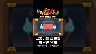 고양이는 초콜릿 먹으면 안돼 #요괴워치 #지바냥 #눈보라공주