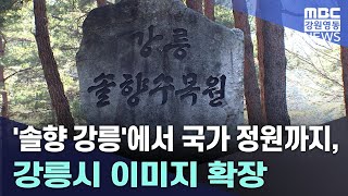 '솔향 강릉'에서 국가 정원까지, 강릉시 이미지 확장 20250227