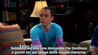 The Big Bang Theory - Zack contro i delfini--Sub Ita