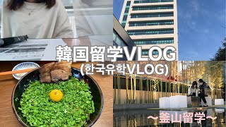 JP/KR)【韓国留学VLOG】#46 約4ヶ月ぶりの対面授業！/오랜만에 대면 수업