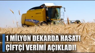 1 Milyon Dekarda Buğday Hasadı! Çiftçi Verimi Maşallah Diyerek Açıkladı! / AGRO TV HABER