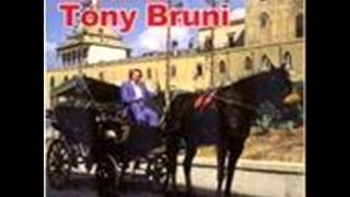 tony bruni O rammariello poeta 2oo7