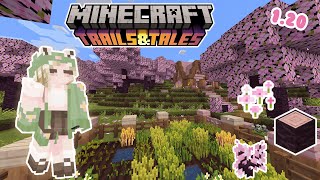 🌸 Cherry Blossom Farm and Iron Mining 🌸 EP 2 (Minecraft 1.20 Survival) 🌷