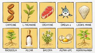 Every Supplement That Boosts Your Brain Power Explained