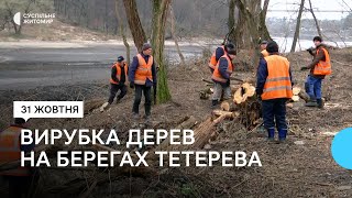 Екологічна інспекція Поліського округу вважає незаконною вирубку дерев на берегах Тетерева