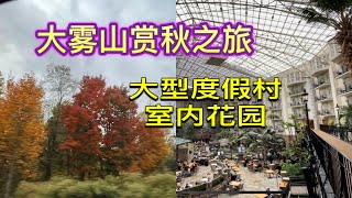 大烟山赏秋之旅1: Nashville大型度假村室内花园美轮美奂，还可以坐船穿行在河流、瀑布之间