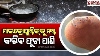 Microplastic has become a major environmental-health concern |ଚିନ୍ତାର କାରଣ ପାଲଟିଛି ମାଇକ୍ରୋପ୍ଲାଷ୍ଟିକ୍