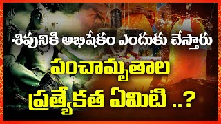 శివునికి అభిషేకం ఎందుకు చేస్తారు ఇందులో పంచామృతాల ప్రత్యేకత ఏమిటి | TC Bhakthi TV | SRI LAKSHMI |