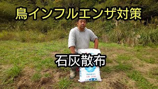 養鶏場の鳥インフルエンザ対策。