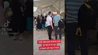 איך נראית כניסת הר הבית ליהודים ולתיירים? הזנחה מתמשכת