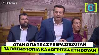 Όταν ο Παππάς υπερασπιζόταν τα βοσκοτόπια Καλογρίτσα