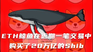 ETH鲸鱼在一笔交易中购买了20万亿的Shib