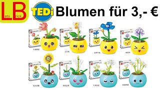 3,- € Tedi Blumen Fazit