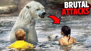 The Most BRUTAL Polar Bear Attacks MARATHON!