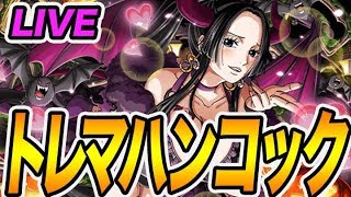 トレクル 特訓 の 森 磁場