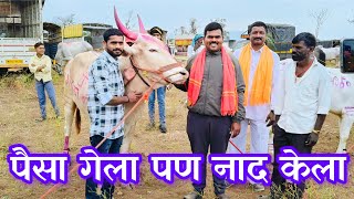 पैसा गेला पण नाद केला पुसेगाव मैदानात #निसर्गाची_नाळ