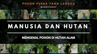 Eps3 Mengenal Pohon Tertua Dan Langka Di Hutan Alam | #hutan  #petungkriyono  Pekalongan #homyforest