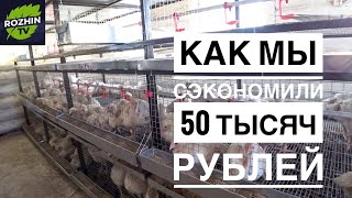 Кормушки и поддоны для птицы своими руками