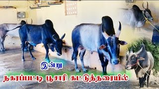 நகரப்பட்டி பூசாரி கட்டுத்தரை