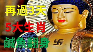 四大生肖財業興旺，喜事盈門，財運水漲船高（鼠、龍、猴、兔）好運加身，財運順勢的3生肖，正財橫財通通來，不差錢（牛、蛇、雞、豬）四大生肖財星高照，財運大利，進財無數（虎、馬、狗、羊）財運暴漲的3個生肖