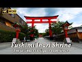 [4K HDR] ⛩🎌Walking the beautiful Fushimi Inari Shrine. The ultimate torii gate experience. Sep.2023