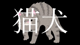 猫犬 (2024年作品)