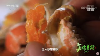 原汁原味 黄多鲜美的蝼蛄虾《味道》20210827| 美食中国 Tasty China