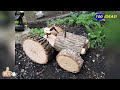 wooden crafts for garden decoration and other wood ideas