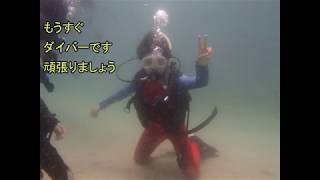 【ジュニアダイビング】ジュニアダイバーコース三木浦  (junior diver course)