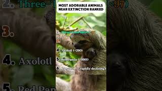 Most Adorable Animals That Are Near Extinction Ranked #shorts