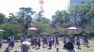 四国よさこいチーム百華夢想　YOSAKOI高松祭り2019玉藻公園1日目