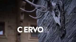 CERVO ENG | Ramón Bilbao