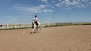 Interdressage - Natalie Hummell \u0026 RealZippinPicklinPatsy - Class 4B  - SEPTEMBER 2019