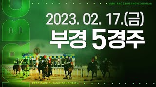 (부산)'23.2.17.5R 꽉 찬 릴리즈에디션 시원한 압승! 함평이즈백 무너지고 킹보스 선입 2위!