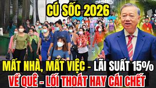 Tin Tức Thời Sự 24h Mới Nhất Hôm Nay: Nỗi Đau Mất Việc Và Cái Bẫy Bỏ Phố Về Quê