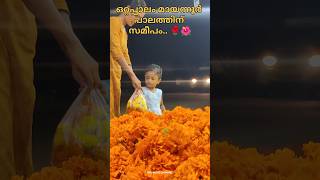 ഓണത്തിന് ഇതില്ലാതെ എങ്ങനെ.. #ഓണം #onam #flower #festival #onamvideo #onamaudio #onamspecial #shorts