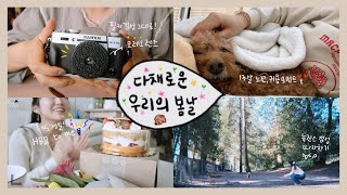 필름 카메라 감성 오레오렌즈 + 후지필름 📷, 해피생일주간 | 밴쿠버 브이로그🇨🇦