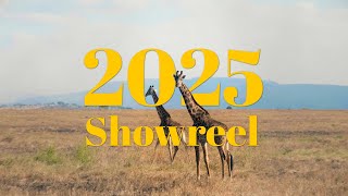 Showreel 2025