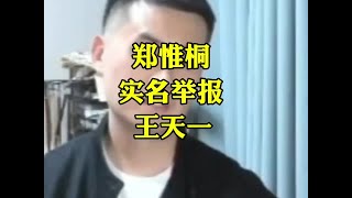 全盘仅一子过河，郑惟桐实名举报王天一作弊#象棋高手