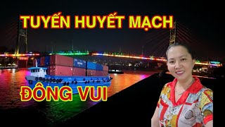 Vô Mùa Nước ,Xà Lan Chạy Quá Lẹ- Màn Đêm Lung Linh ,Sắc Màu Kênh Chợ Gạo- Tuyến Sông Trà  Đến Vàm Cỏ