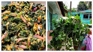 বাগানের তাজা তাজা তেলা কচু পাতার ভর্তা রেসিপি / Village food Garden fresh telakochu shak Bhorta