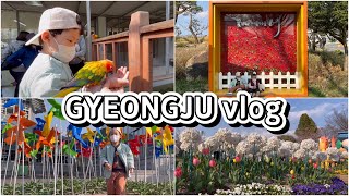 [아이와가볼만한곳] 경주 버드파크🐥, 날아다니는 새 먹이 주기! | 경주 벚꽃🌸드라이브 | 경주 동궁원 식물원 동물원, 다양한 볼거리가 있는 경주여행! | 22.4.2