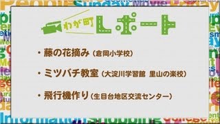 宮崎の町情報をお届け！！　「藤の花摘み、ミツバチ教室、飛行機作り」